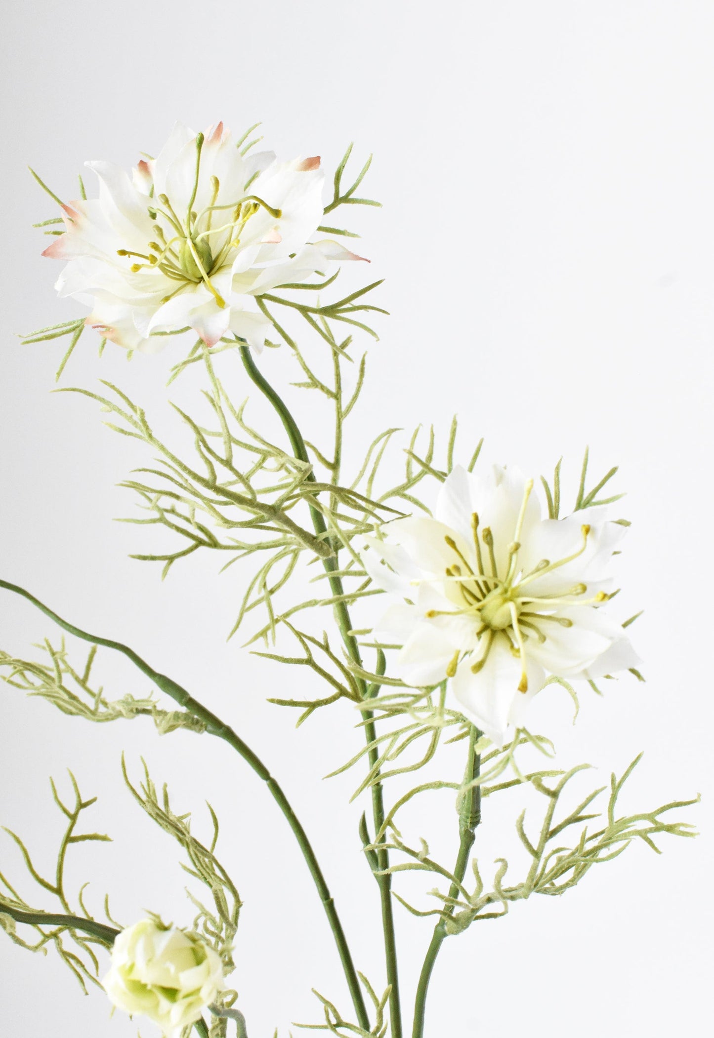 29" Faux White Nigella Stem