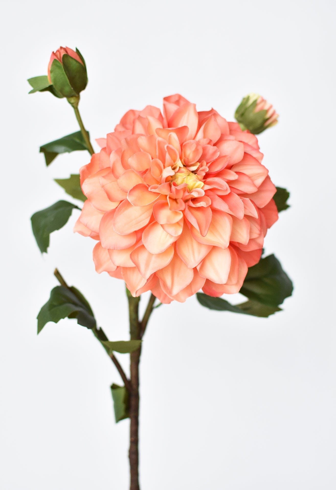 23.5" Faux Coral Dahlia w/Bud Stem