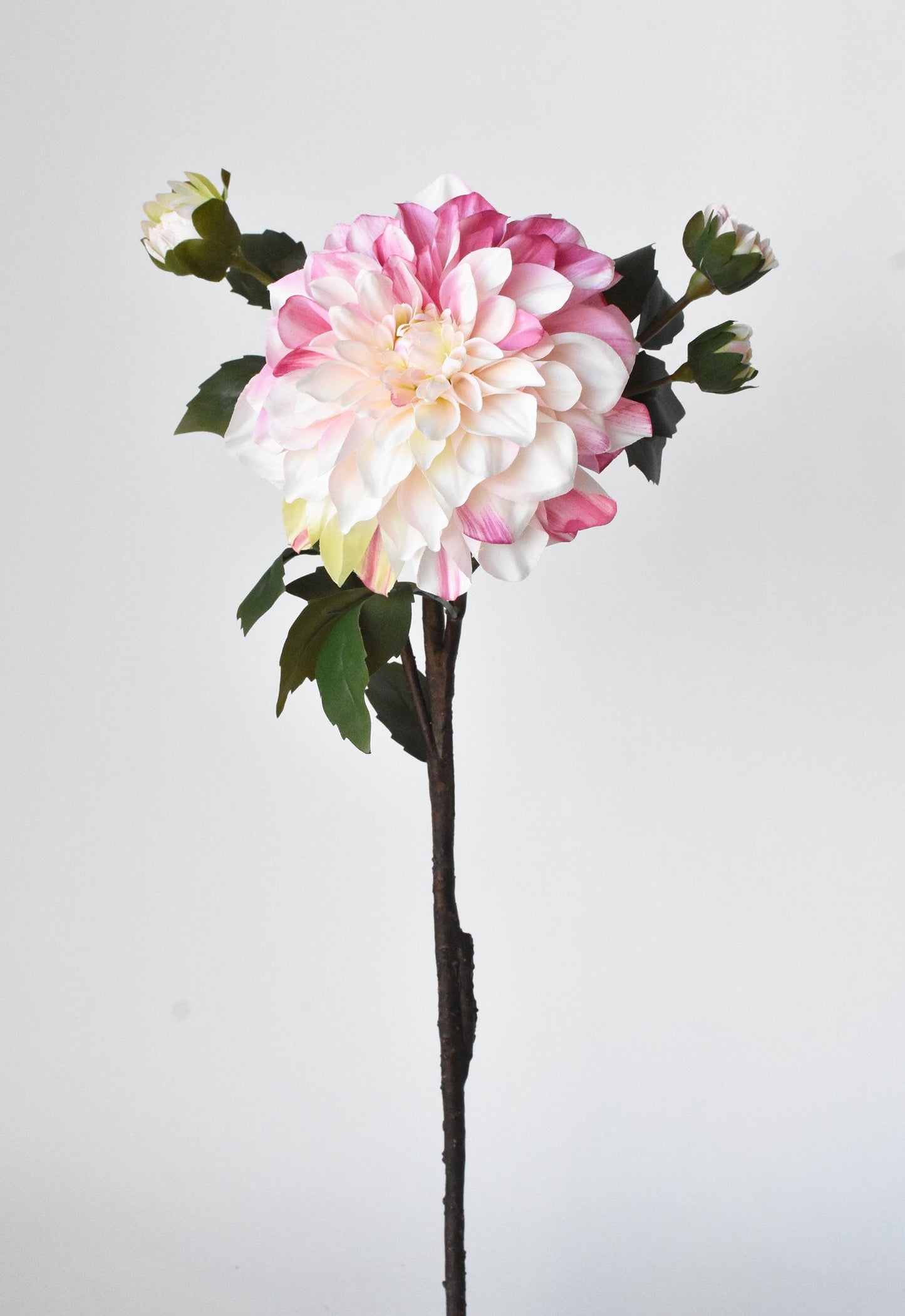 23.5" Faux Pink / Cream Dahlia w/Bud Stem